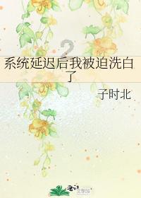 新能源汽车车辆购置税实行新减免政策